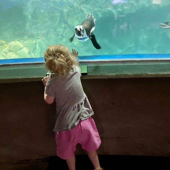 Meet your Posher, Megan - Picture 7 of 7